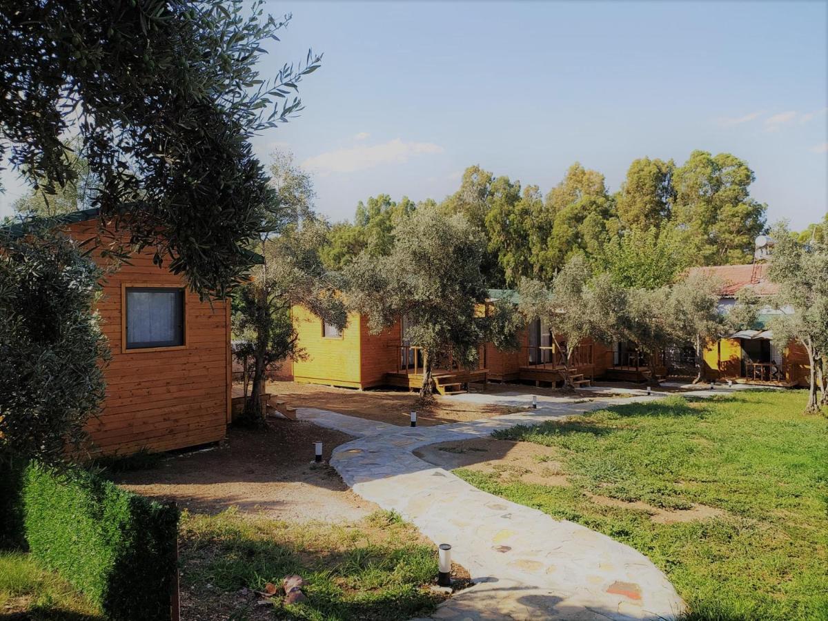 Infinity Ruby Hotel Kargı Εξωτερικό φωτογραφία